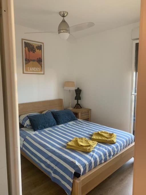 Appartement Plage En Residence Entier 2 Chambres Capbreton Εξωτερικό φωτογραφία